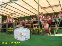 Der Musikzug beim Winzerfest am Samstagnachmittag