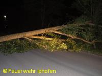Baum auf Fahrbahn
