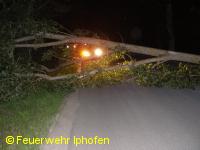 Baum auf Fahrbahn