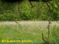 Hier der eingetrocknete Tümpel